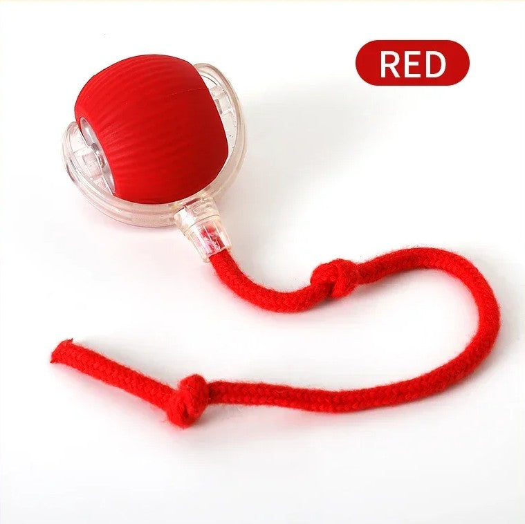Smart Interactive Cat Ball