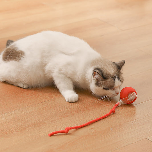 Smart Interactive Cat Ball
