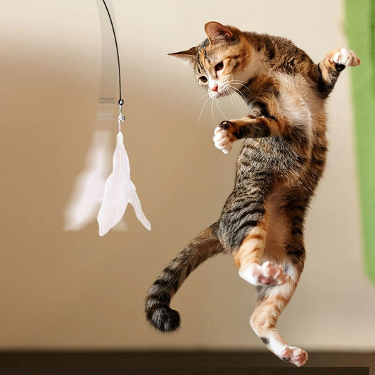 Interactive Cat Wand Toy with Suction Cup