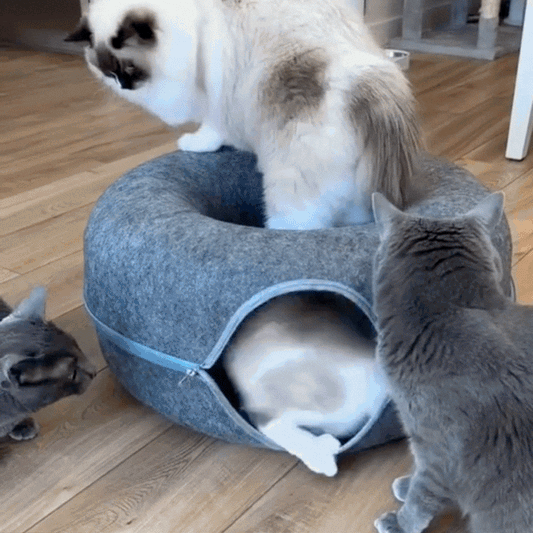 Donut Tunnel Cat Bed