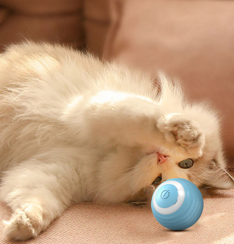 Smart Rolling Cat Toy Ball