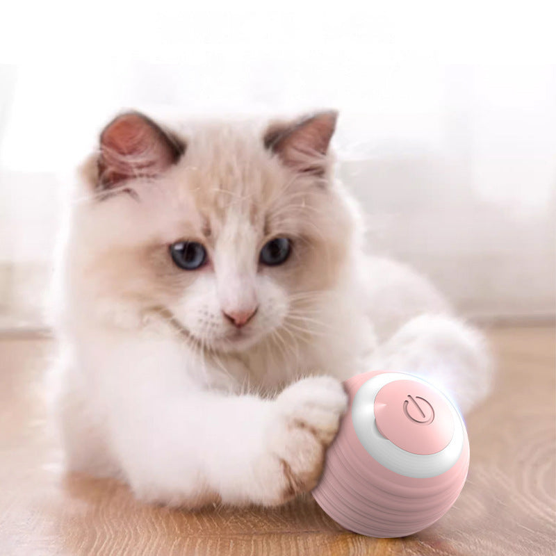 Pet Toy