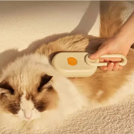 Pet Care
