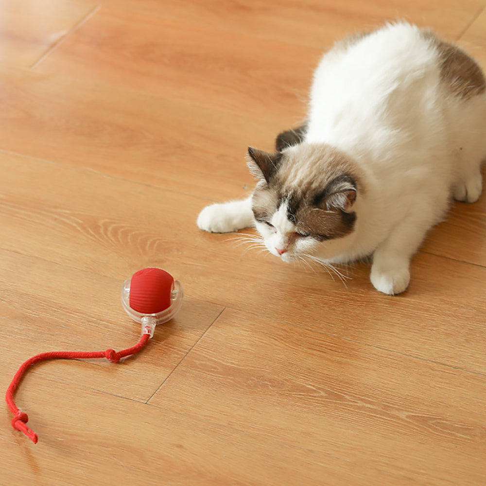 Smart Interactive Cat Ball