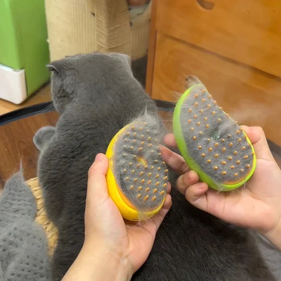 3-in-1 Electric Steam Brush for Cats