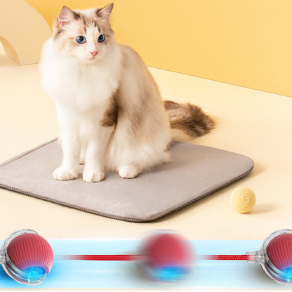 Smart Interactive Cat Ball