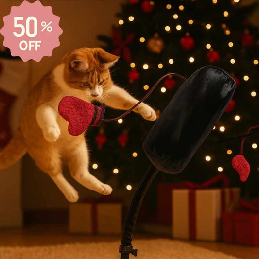 Boxing Cat Toy